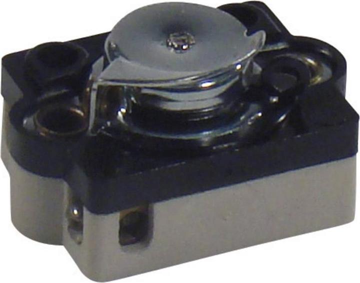 Actual product image interBär Built-in pull-series switch