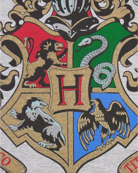 Produktbild Hogwarts RaglanOberteil (XXL)