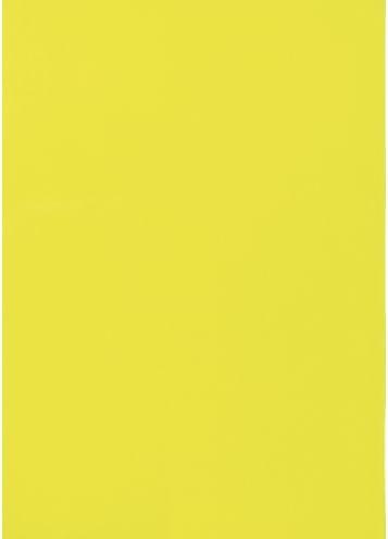 Produktbild Markenlos Warnetiketten R85-25540GB A4 Neongelb