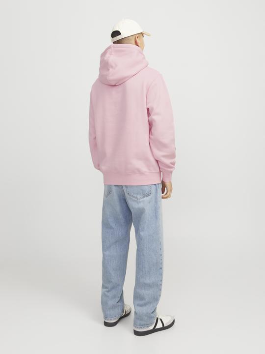 Produktbild Jack & Jones Jorvesterbro Sweat Hood Noos (XXL)