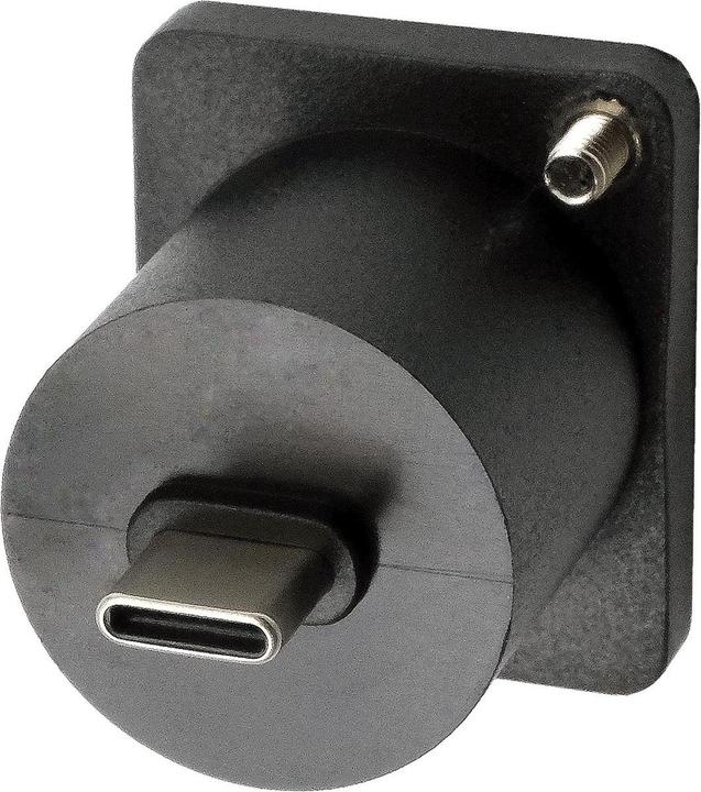 Image du produit Exsys Adaptateur de type D USB-C BU-ST (USB-C, 13 cm)