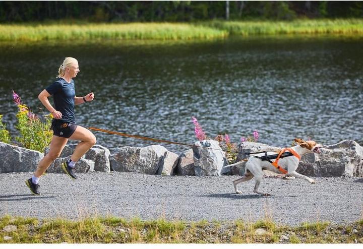 Image du produit Non-Stop Dogwear Harnais Freemotion 5.0 (8, Chien, Vélo)