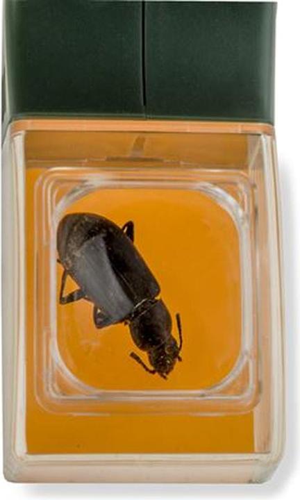 Produktbild Carson HU-10 BugView