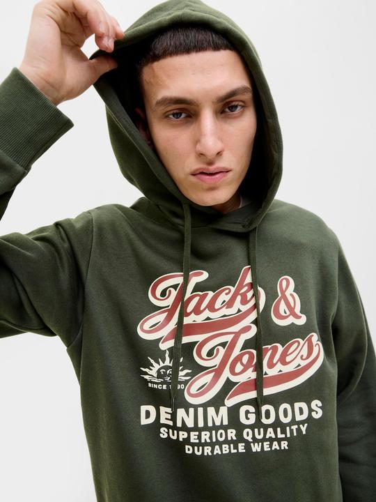 Actual product image Jack & Jones JJELOGO SWEAT HOOD 2 COL 25/26 NOOS (M)