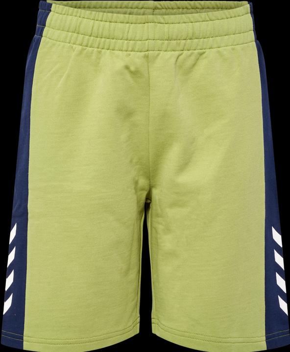 Image du produit hummel Hmlrush Block Shorts (140)