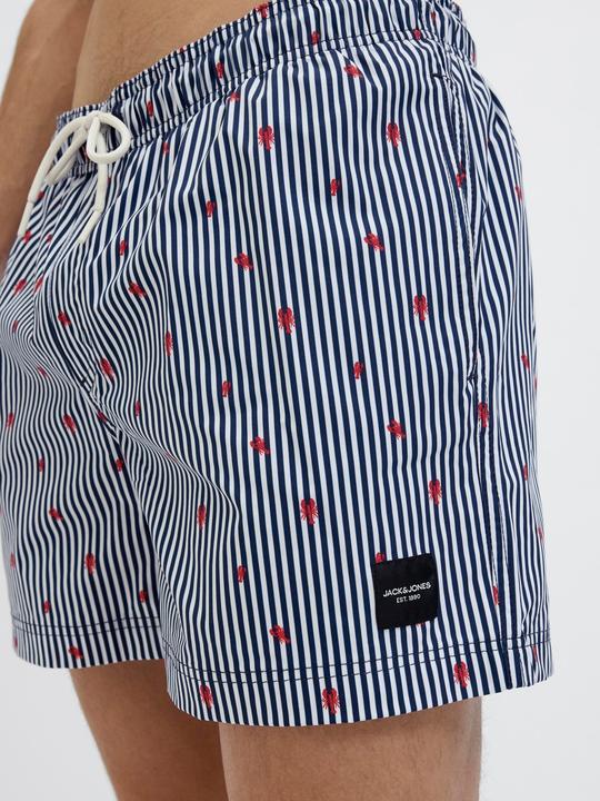 Produktbild Jack & Jones Jpstmaui Jjswim Mini Stripe Akm Sn (XS)