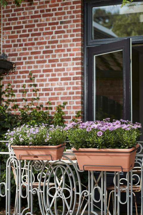 Actual product image Elho Green Basics Balcony Box Xl Allin1 (54.50 x 33.50 x 230 cm)