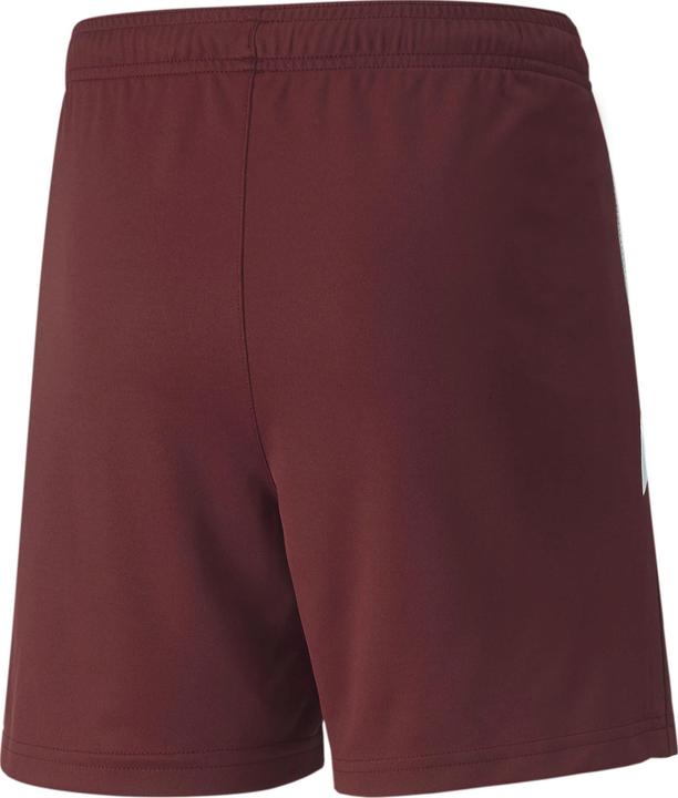 Image du produit Puma short teamLIGA Jr-704931 (116)