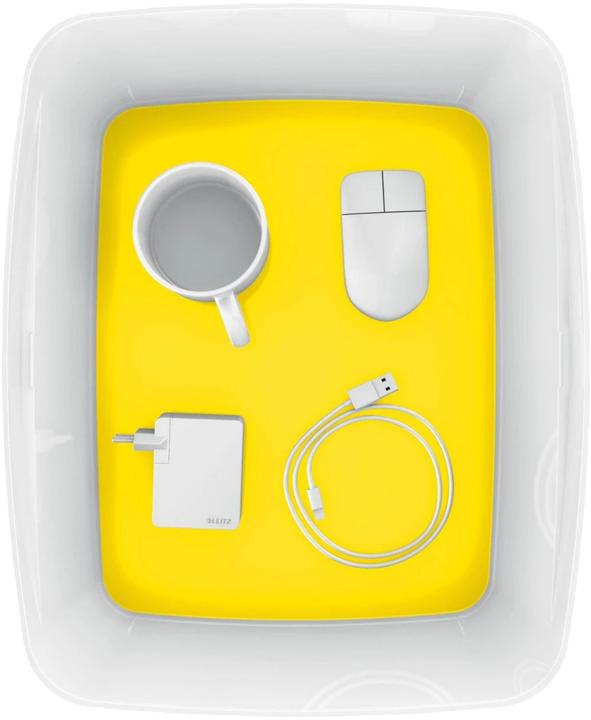Image du produit Leitz Boîte de rangement MyBox (31.8 x 19.8 x 38.5 cm, 18 l)