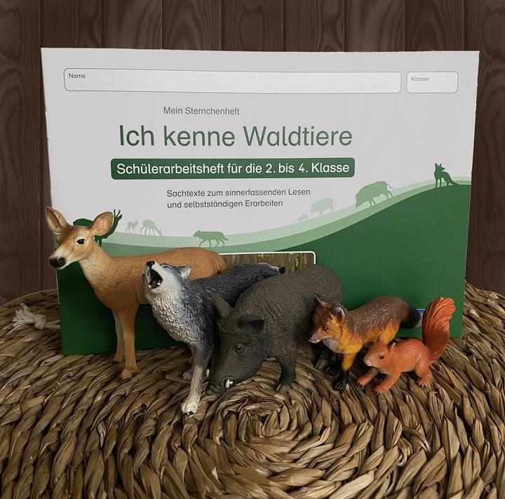 Produktbild Ich kenne Waldtiere - Schülerarbeitsheft für die 2. bis 4. Klasse (Deutsch, Katrin Langhans, 2012)