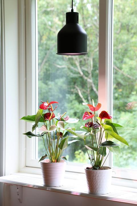 Produktbild Venso Saga (LED, 230 V)