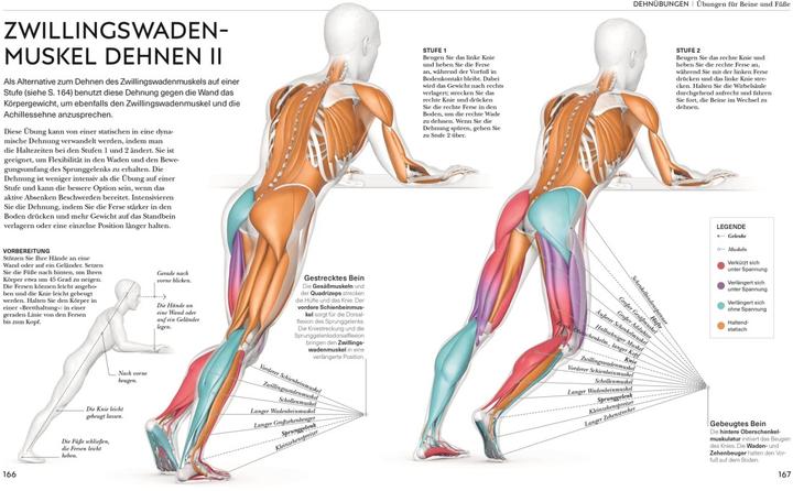Actual product image Malek:Stretching - Die Anatomie versteh (German, Leada Malek, 2023)