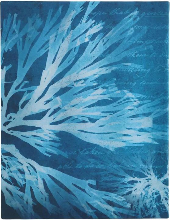 Produktbild Paperblanks Notizbuch Softcover Meeresblumen Ultra Liniert (Liniert, Weicher Einband)