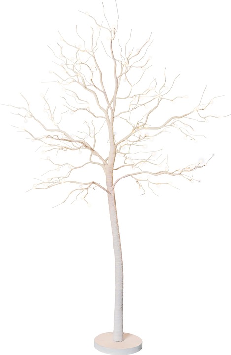 Actual product image STT Fairy Tale