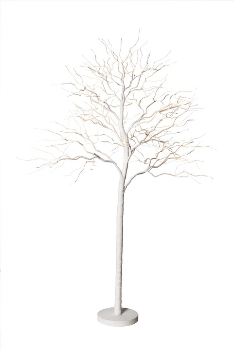 Actual product image STT Fairy tale