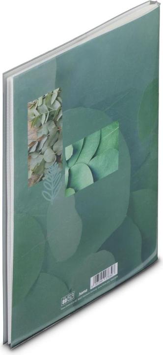 Actual product image Hama Singo II (10 x 15 cm)