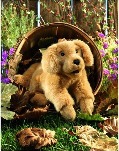 Produktbild Folkmanis Golden Retriever Baby