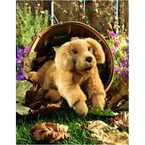 Thumbnail - Folkmanis Golden Retriever Baby
