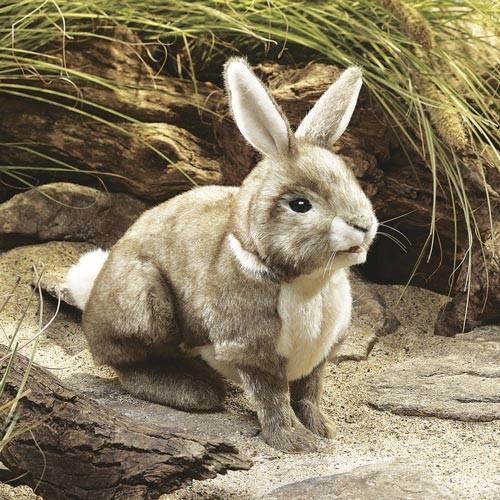 Actual product image Folkmanis Cottontail Rabbit