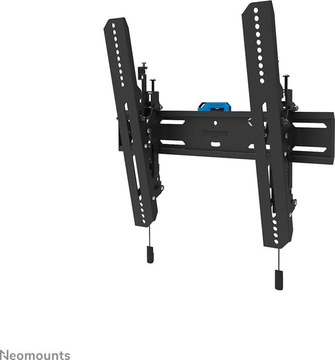 Actual product image Neomounts Wall Mount WL35S-850BL14 Black (Wall, 65", 50 kg)