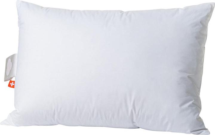Immagine prodotto Duvetsuisse 3 Camere Soft-Medium Premium (50 x 60 cm)