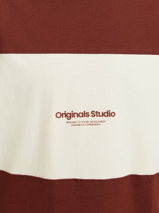 Actual product image Jack & Jones Jorvesterbro Block Tee Ss Crew Styd Aw24 (XL)