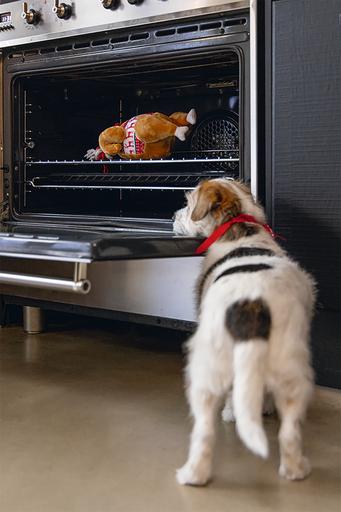 Produktbild Beeztees Weihnachtsspielzeug (Plüschspielzeug Hund)