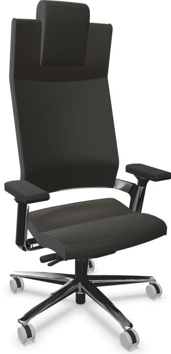 Poliert, Leder Premium Pfefferbraun