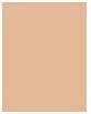 Actual product image Max Factor Facefinity Compact (006 Golden)