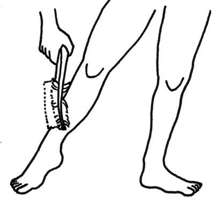 Immagine prodotto Sellmer Spazzola per massaggi (Toilette)