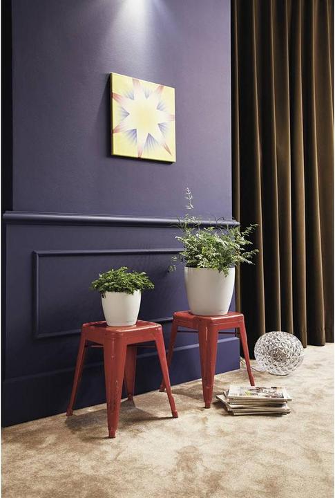 Immagine prodotto Lechuza Classico Color (27.50 cm)