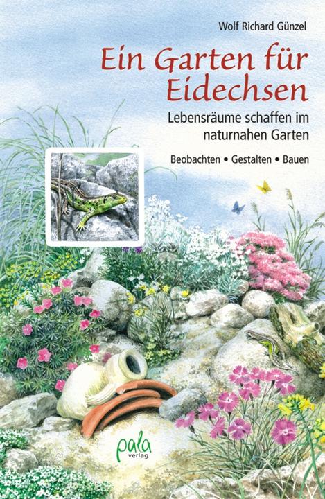 Produktbild Ein Garten für Eidechsen (Deutsch, Wolf R. Gnzel, 2014)