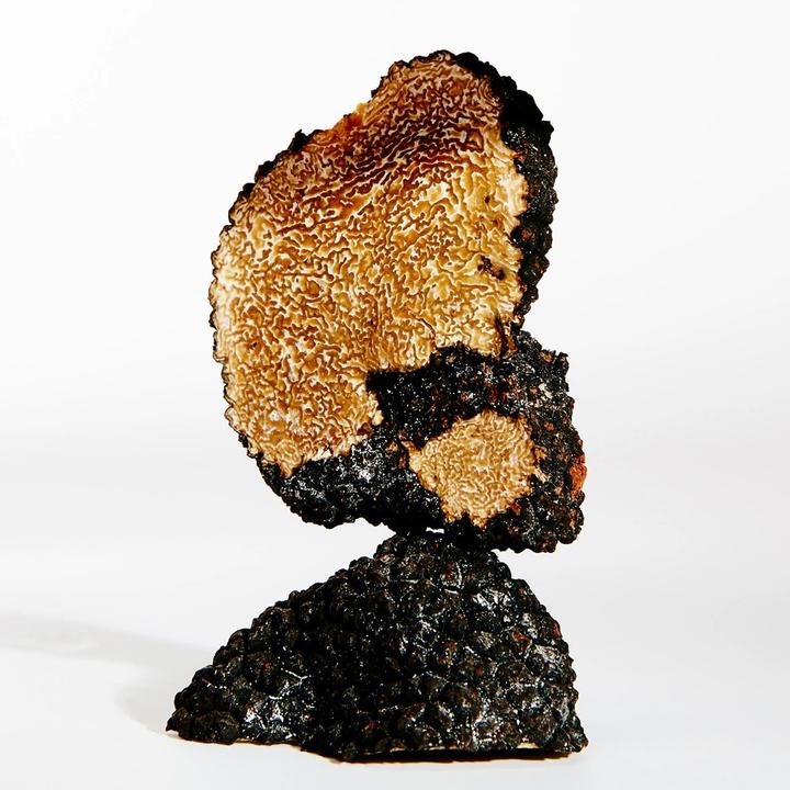 Produktbild Earth (Eau de Parfum, 100 ml)