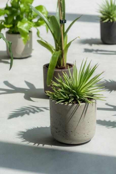 Image du produit Pottery Pots Charlie XL (32 cm)