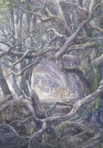 Actual product image Der Hobbit (German, J.R.R. Tolkien, 2009)