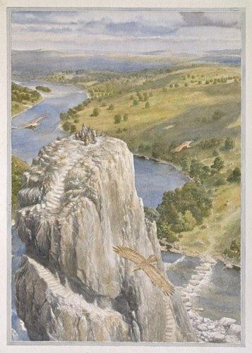 Actual product image Der Hobbit (German, J.R.R. Tolkien, 2009)
