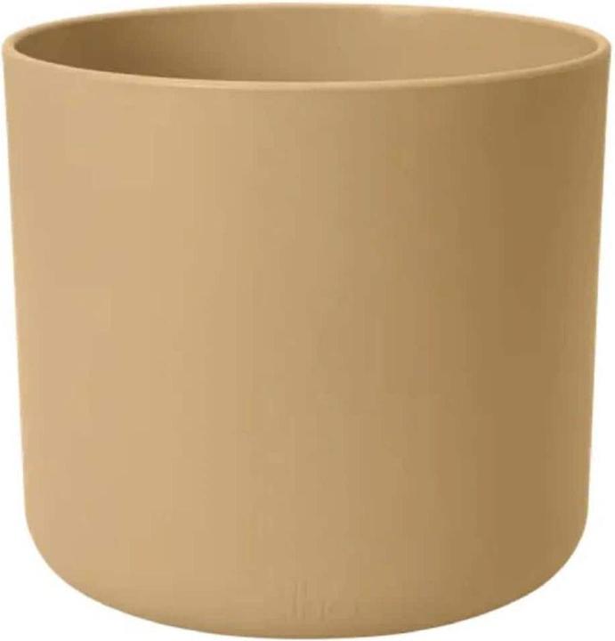 Crème, Goldener Sand