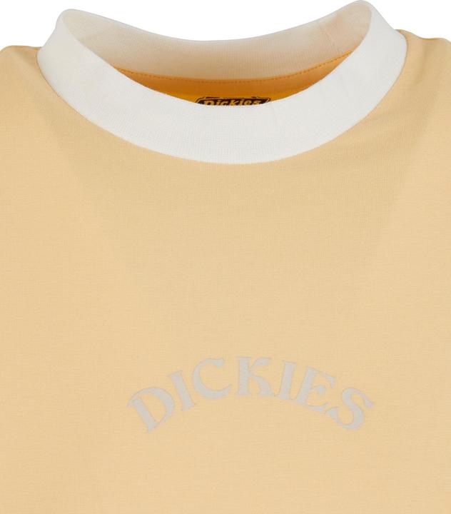 Immagine prodotto Dickies Maglietta Warm Springs - 125477 (S)