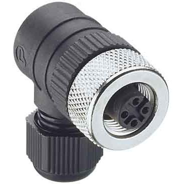 Belden Accoppiamento, Cavo + Spina elettrica