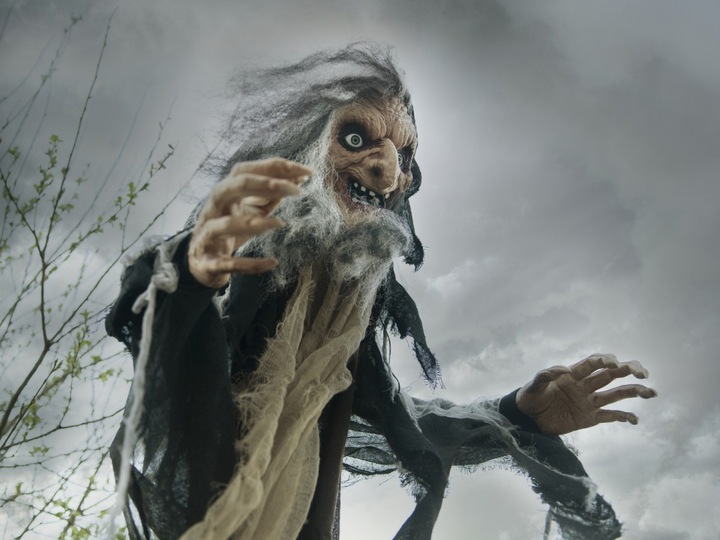 Actual product image Europalms Halloween witch Nahema, 160cm