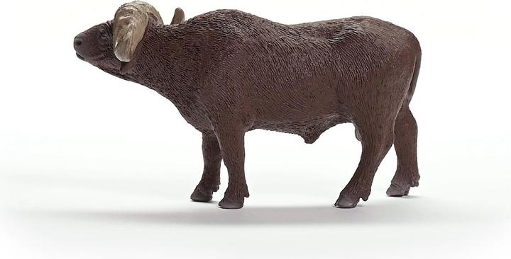 Image du produit Schleich Buffle kaffir