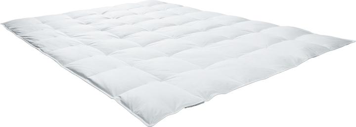 Image du produit Redbest Minneapolis (420 g, Duvet, 135 x 200 cm)
