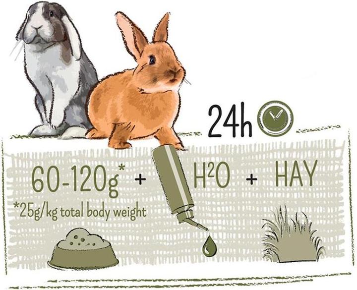 Actual product image Witte Molen Puur Gourmet Muesli (5.50 kg, 1 x)