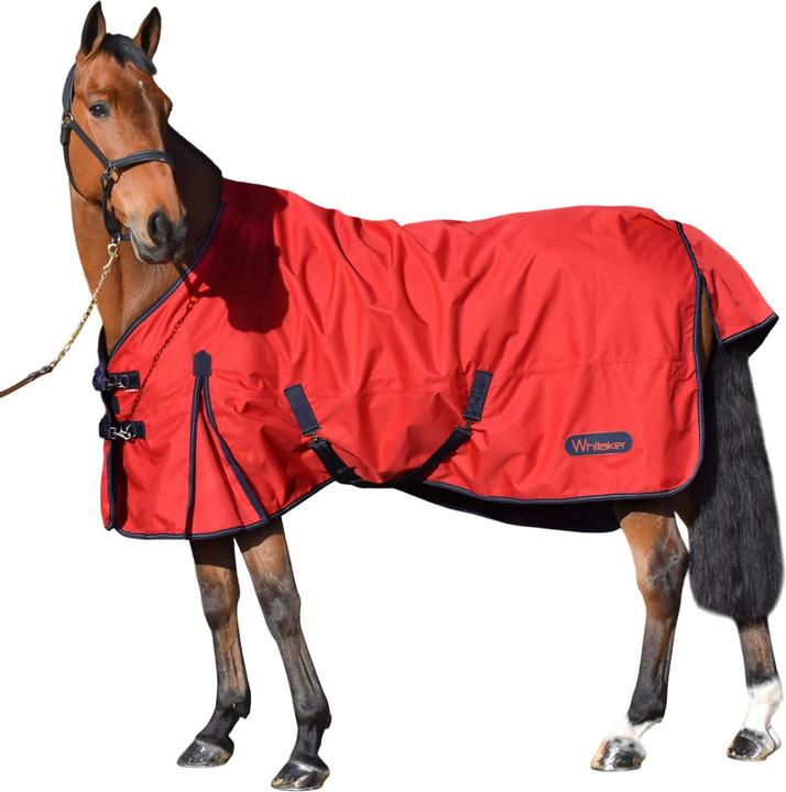 Produktbild Standard Leicht Pferdedecke (137 cm)