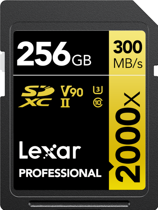 Produktbild Lexar Professional Gold Series (256 GB, SDXC, U3, UHS-II)