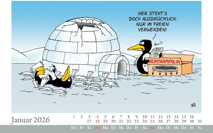 Actual product image Uli Stein Tischkalender 2026: Monatskalender zum Aufstellen (19 x 14 cm, German)