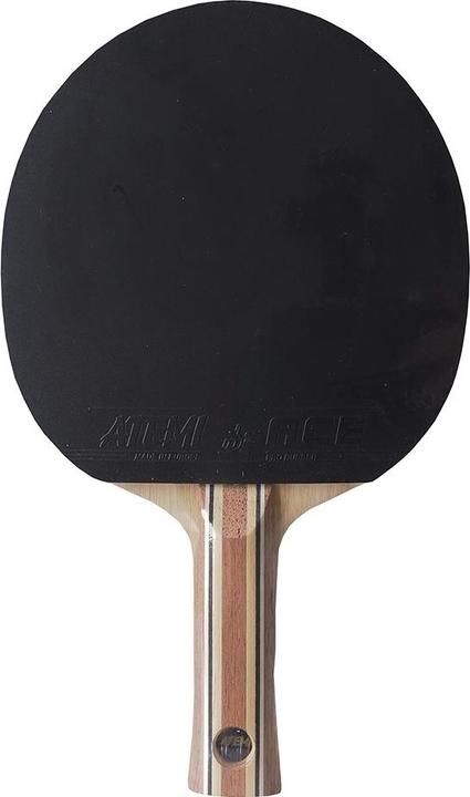 Actual product image Atemi Table tennis bat New 3000 Pro anatomical