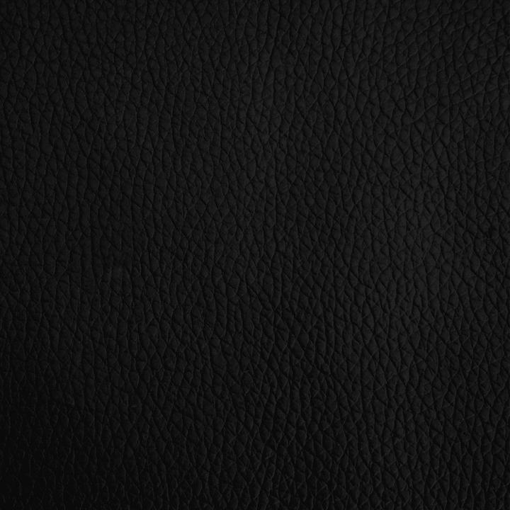 Actual product image vidaXL Adrien (Dog)