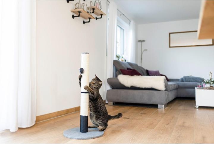 Actual product image Kerbl Opal Pro (80 cm, Black, Grey)