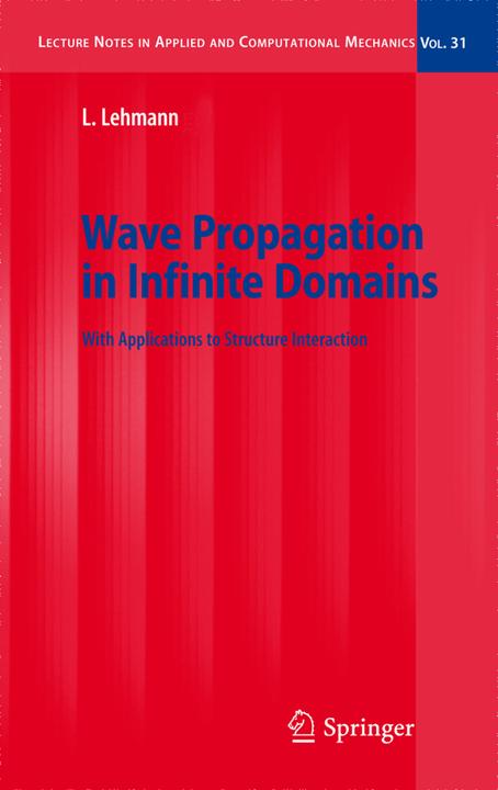 Wave Propagation in Infinite Domains (Englisch, Lutz Lehmann, 2010)